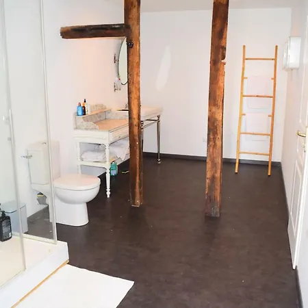 Semesterbostad 7 Rue De L'abbe Duplech Sauveterre-de-Bearn